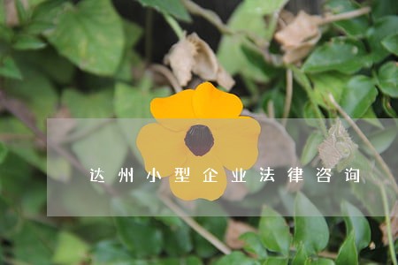 达州小型企业法律咨询 达州小型企业法律咨询
