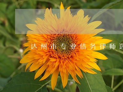 达州市专业债务律师选谁 达州市专业债务律师选谁