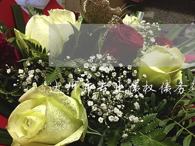 达州市专业债权债务律师咨询电话