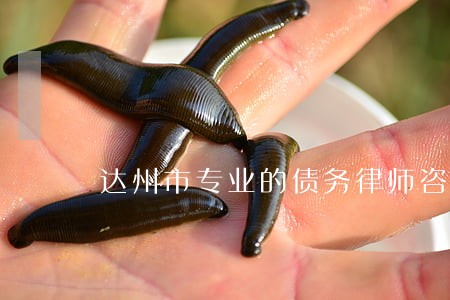 达州市专业的债务律师咨询电话 达州市专业的债务律师咨询电话