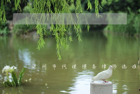 达州市代理债务律师选谁 达州市代理债务律师选谁
