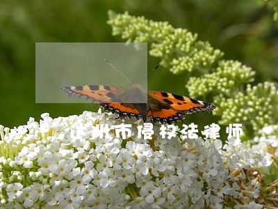 达州市侵权法律师 达州市侵权法律师
