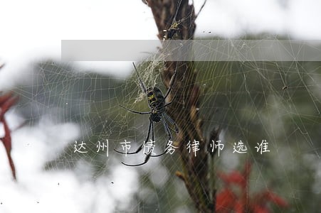 达州市债务律师选谁 达州市债务律师选谁