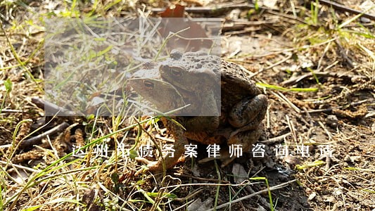 达州市债务案律师咨询电话 达州市债务案律师咨询电话