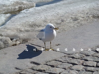 达州市办理债务合同律师哪家强 达州市办理债务合同律师哪家强