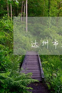 达州市处理离婚财产律师免费咨询 达州市处理离婚财产律师免费咨询