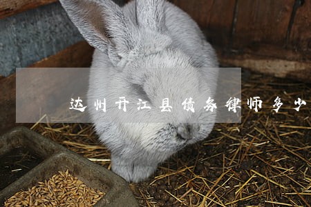 达州开江县债务律师多少钱 达州开江县债务律师多少钱