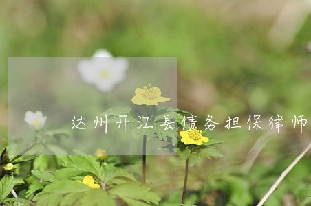 达州开江县债务担保律师费用咨询 达州开江县债务担保律师费用咨询