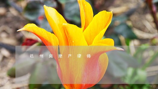 达州房地产律师 达州房地产律师