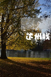 达州找债务律师咨询电话 达州找债务律师咨询电话