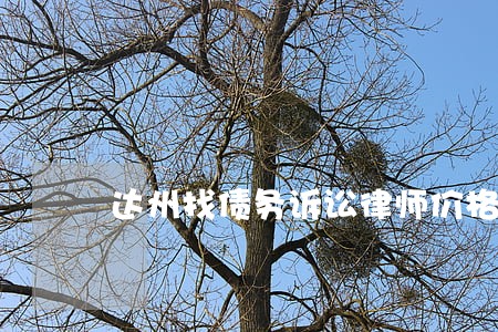 达州找债务诉讼律师价格 达州找债务诉讼律师价格