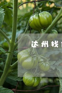 达州找债权债务律师多少钱 达州找债权债务律师多少钱
