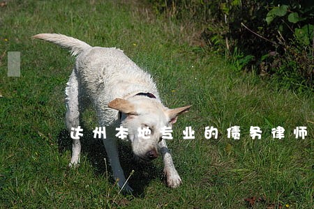 达州本地专业的债务律师咨询电话 达州本地专业的债务律师咨询电话