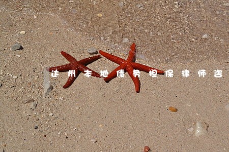 达州本地债务担保律师咨询 达州本地债务担保律师咨询
