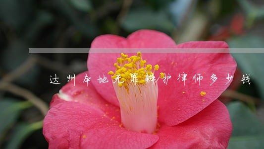 达州本地无罪辩护律师多少钱 达州本地无罪辩护律师多少钱
