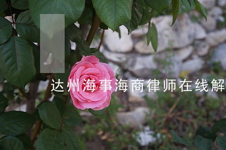 达州海事海商律师在线解答 达州海事海商律师在线解答