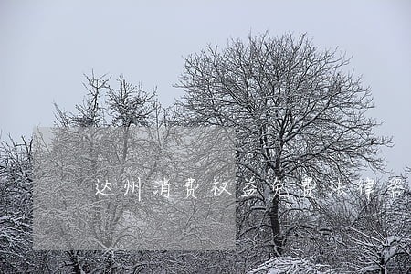 达州消费权益免费法律咨询热线 达州消费权益免费法律咨询热线