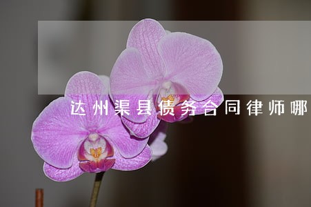 达州渠县债务合同律师哪里找 达州渠县债务合同律师哪里找