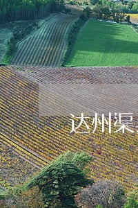 达州渠县司法局电话 达州渠县司法局电话
