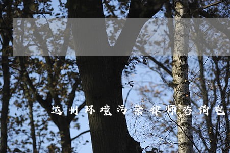 达州环境污染律师咨询电话 达州环境污染律师咨询电话