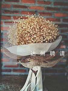 达州聘请债务合同律师微信咨询 达州聘请债务合同律师微信咨询