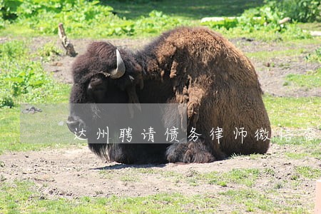 达州聘请债务律师微信咨询 达州聘请债务律师微信咨询