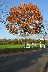 达州请债务诉讼律师多少钱 达州请债务诉讼律师多少钱