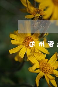 达州资产诉讼网 达州资产诉讼网