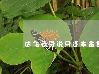 达飞云贷说只还本金是真的吗