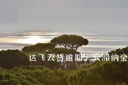 达飞云贷逾期5天滞纳金500元 达飞云贷逾期5天滞纳金500元