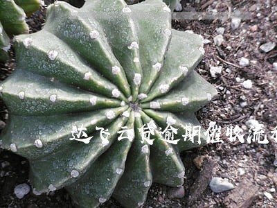 达飞云贷逾期催收流程6