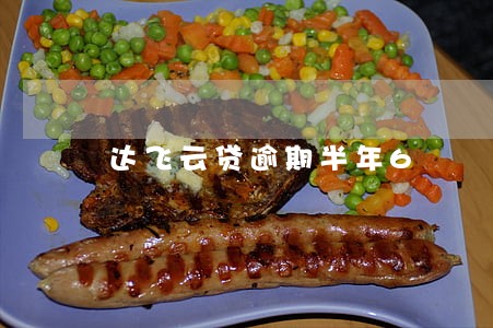 达飞云贷逾期半年6 达飞云贷逾期半年6