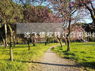 达飞债权转让合同纠纷 达飞债权转让合同纠纷