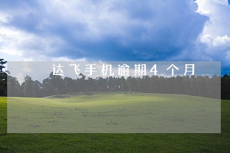 达飞手机逾期4个月 达飞手机逾期4个月