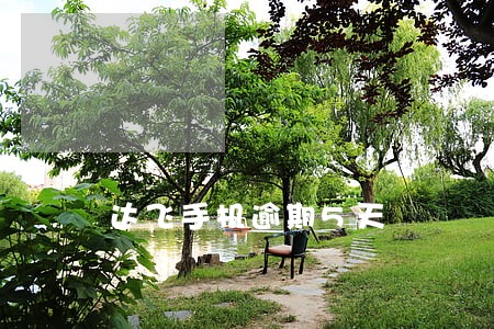 达飞手机逾期5天