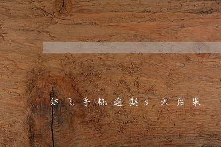 达飞手机逾期5天后果