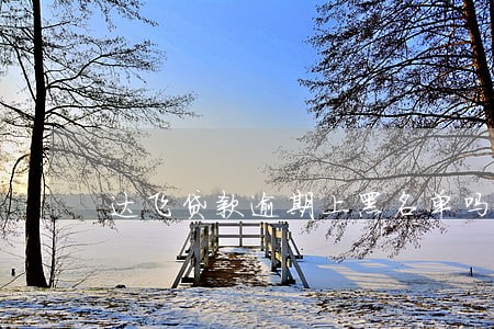 达飞贷款逾期上黑名单吗 达飞贷款逾期上黑名单吗