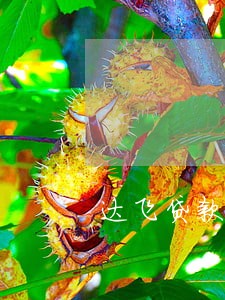 达飞贷款逾期四个月 达飞贷款逾期四个月