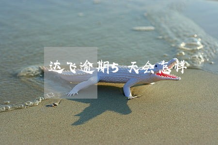 达飞逾期5天会怎样 达飞逾期5天会怎样