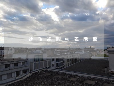 达飞逾期5天后果 达飞逾期5天后果