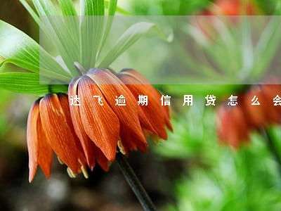达飞逾期信用贷怎么会发短信 达飞逾期信用贷怎么会发短信