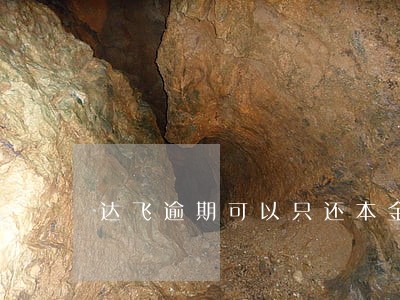 达飞逾期可以只还本金吗 达飞逾期可以只还本金吗
