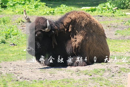 达飞金融逾期40天怎么算 达飞金融逾期40天怎么算