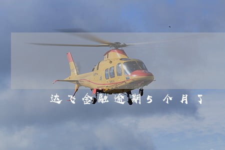 达飞金融逾期5个月了 达飞金融逾期5个月了