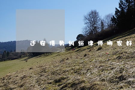 迁安债务纠纷律师哪家好 迁安债务纠纷律师哪家好