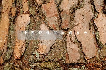 迁西律师顾问哪家专业 迁西律师顾问哪家专业