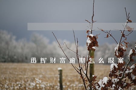 迅辉财富逾期怎么报案 迅辉财富逾期怎么报案