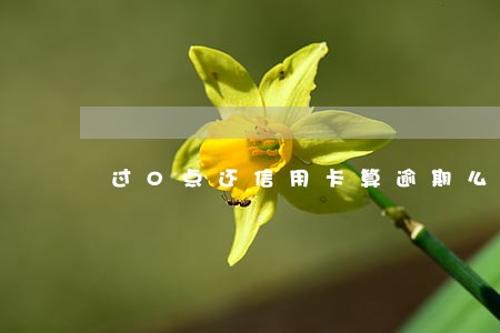 过0点还信用卡算逾期么 过0点还信用卡算逾期么