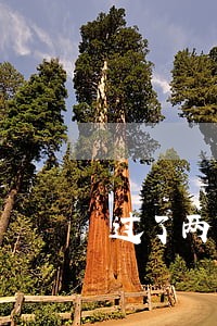 过了两年网上有一天违法记录 过了两年网上有一天违法记录