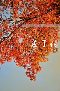 过了信用卡还款日几天算逾期 过了信用卡还款日几天算逾期